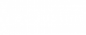 Endoslim Logo White
